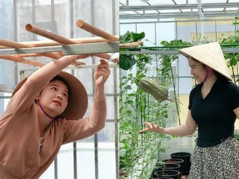 Chi 80 triệu và dồn công sức làm vườn trên nóc nhà, cô gái nhận kết quả xứng đáng