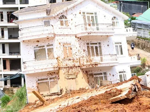 Lâm Đồng: Tạm đình chỉ công tác Trưởng Phòng quản lý đô thị Đà Lạt