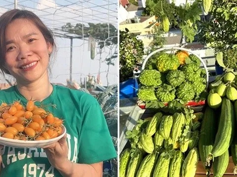 “Cắt” 1 tiếng/ngày làm nông dân, nữ kế toán biến sân thượng 50m2 thành khu vườn ngập tràn rau quả