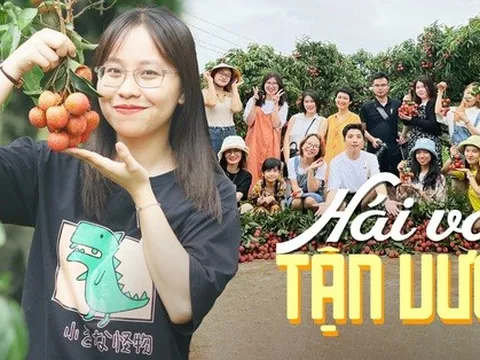 Lịch trình 2 ngày ngắm 'dòng sông đỏ' ở thủ phủ vải miền Bắc