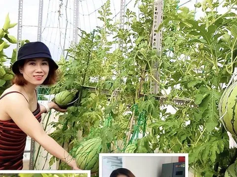 Mẹ đơn thân sở hữu khu vườn sân thượng trĩu quả ngay giữa Sài Gòn