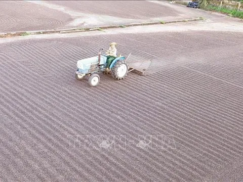 Kinh tế 6 tháng: Linh hoạt giải pháp gỡ khó cho xuất khẩu