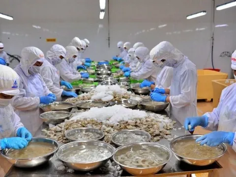 Kỳ vọng vốn tín dụng giúp xuất khẩu thuỷ sản phục hồi tăng trưởng