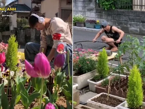 Thanh niên 24 tuổi làm mảnh vườn xinh như trong truyện tranh