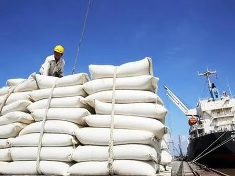 Tăng cường các giải pháp thúc đẩy sản xuất, xuất khẩu gạo