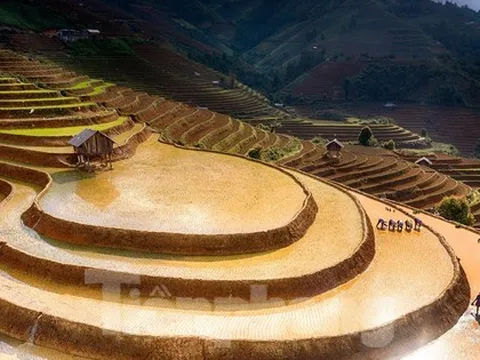 Ngắm nhìn ruộng bậc thang Mù Cang Chải mùa nước đổ