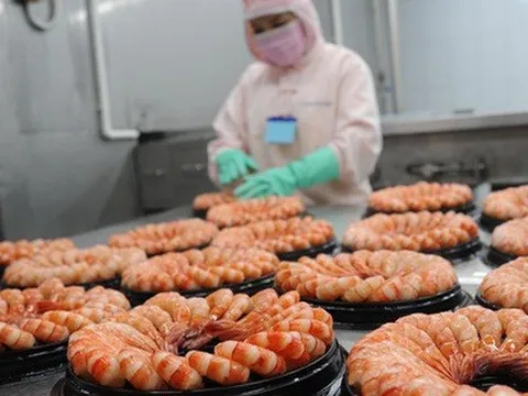 Doanh nghiệp thủy sản đối diện thách thức chưa từng có