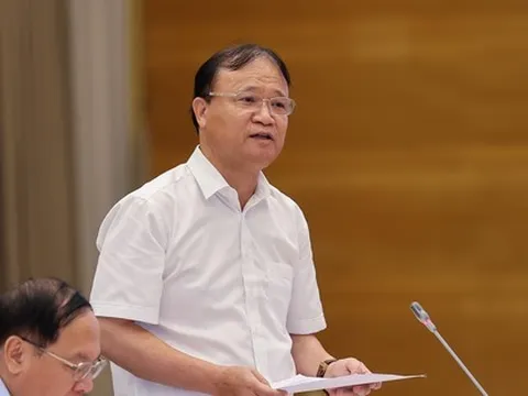 Thứ trưởng Công Thương: Điện mặt trời được 'ưu tiên phát triển không giới hạn'