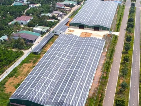 Lâm Đồng: Yêu cầu tạm dừng mua điện của doanh nghiệp núp bóng dự án