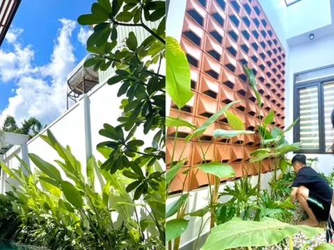 Vợ chồng gom tiền 5 năm xây nhà rộng 210m2, góc nào cũng có cây xanh