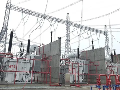 Chị gái Phó Chủ tịch HĐQT Vneco bán toàn bộ cổ phiếu VNE
