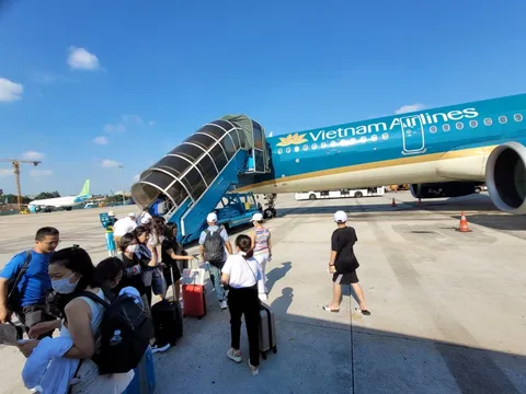 Mối lo vật ngoại lai ở các sân bay