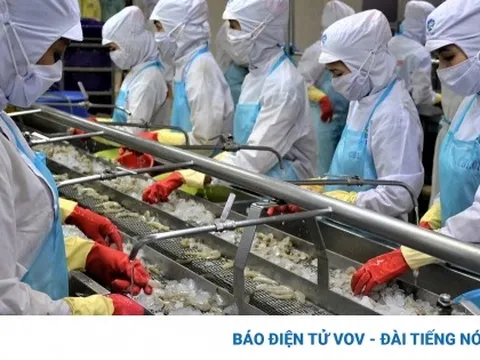 Đại biểu HĐND tỉnh Cà Mau “truy” nguyên nhân tụt 26 bậc chỉ số PCI