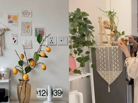 Ở một mình vẫn đầu tư khá “mạnh tay” cho nhà thuê: Khi không gian sống giúp chữa lành