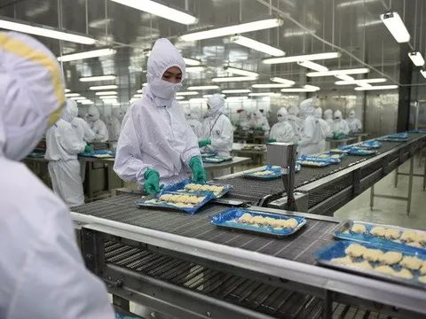 Xuất khẩu thủy sản kỳ vọng phục hồi trong nửa cuối năm
