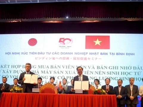 Bình Định mời gọi nhà đầu tư Nhật Bản 'rót tiền' vào 24 dự án