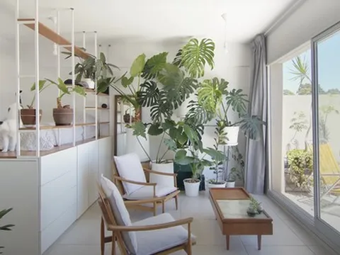 Kiến trúc sư cải tạo nhà đi thuê 28m2: Không gian xanh mướt, thiết kế quá khéo léo