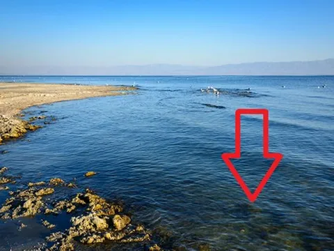 Mỹ phát hiện 15 triệu tấn “vàng trắng” ở độ sâu 1,6 km, hầu hết xe điện của Tesla, BMW, VinFast đều đang dùng