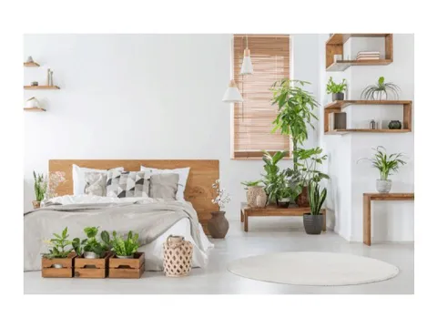 4 thứ KHÔNG đặt trong phòng ngủ: Số 4 nếu ‘quá liều’ có thể gây bỏng mũi, bỏng mắt, co thanh quản…