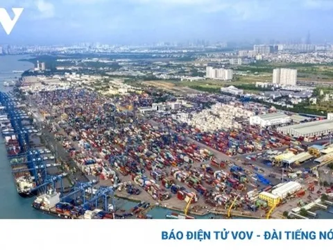 Doanh nghiệp chưa có chiến lược ổn định để tận dụng ưu đãi từ FTA