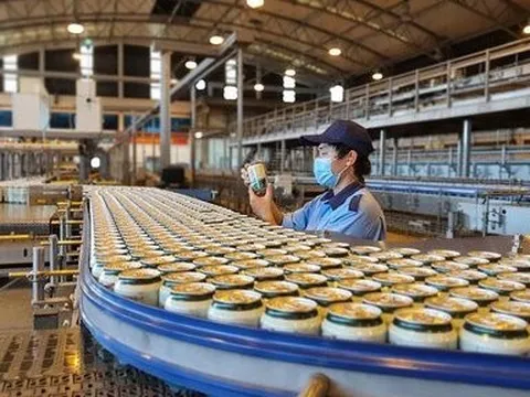 Công ty con trả cổ tức khủng, Sabeco "nhận quà" sớm