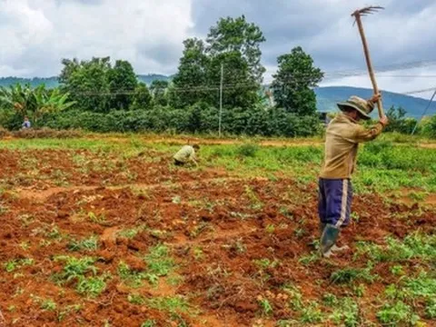Bỏ hơn 2 USD thuê mảnh đất hoang, người đàn ông đổi đời chỉ sau một đêm