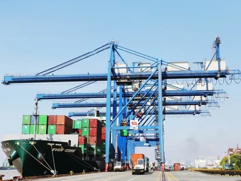 Cổ phiếu đắt nhất sàn chứng khoán bị đưa vào diện cảnh báo