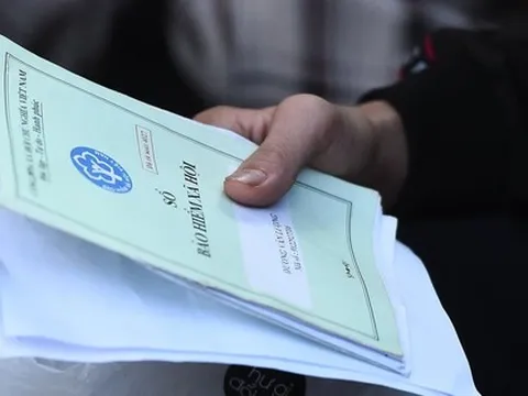 TP. Hồ Chí Minh: Hơn 21.000 doanh nghiệp nợ bảo hiểm xã hội, Tập đoàn Hoà Bình, Trung tâm Anh ngữ Apax nợ hàng chục tỷ