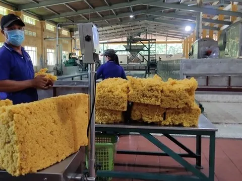 Bị "giam" tiền hoàn thuế, doanh nghiệp kiệt sức