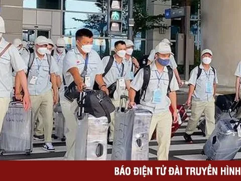 Thu hồi giấy phép 4 doanh nghiệp đưa người đi xuất khẩu lao động