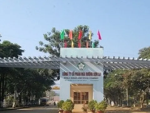 Thị giá đứng top sàn chứng khoán, Mía đường Sơn La có gì hấp dẫn?