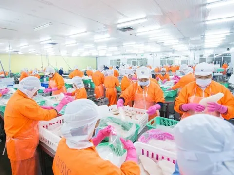 Con trai ông Doãn Tới tiếp tục "xả" cổ phiếu ANV