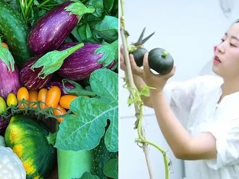 Cô gái đi xin rác về “nuôi” vườn rau sân thượng, giảm mua sắm nhờ mê trồng trọt