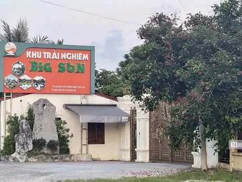 Hải Phòng: Kỷ luật 6 cá nhân liên quan đến vụ Big Sun