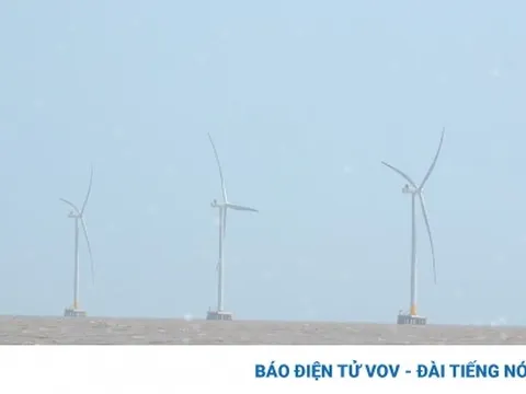 Tiền Giang xây dựng 5 dự án điện gió tại vùng ven biển
