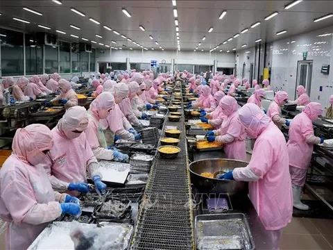 Thị trường xuất khẩu trước bài toán sống - còn