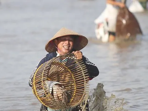 Hơn 100 người mua vé xuống hồ ‘săn cá’ giữa ngày hè nóng bức