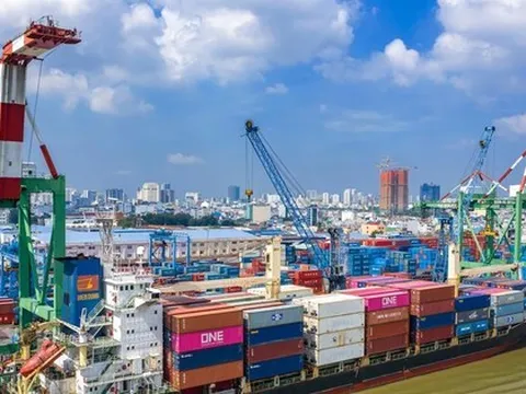 Chi phí vận chuyển container Bắc - Nam đắt gấp đôi đi Mỹ