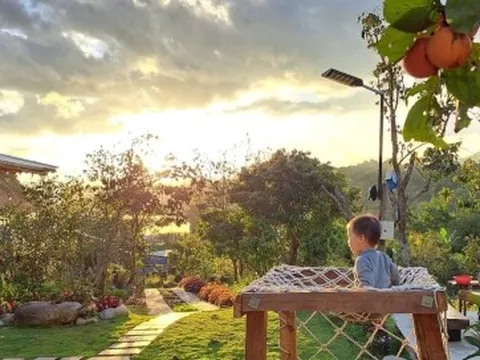 Ngôi nhà đẹp như cổ tích trên đồi ở Lâm Đồng khiến ai cũng muốn bỏ phố về quê