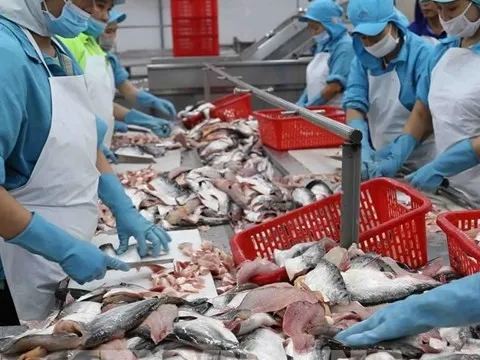 Xuất khẩu thủy sản: Nửa cuối năm sẽ có nhiều thuận lợi