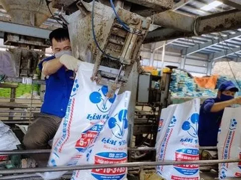 Phân bón Lâm Thao báo lãi tăng trưởng, tiền gửi ngân hàng gấp 5 lần