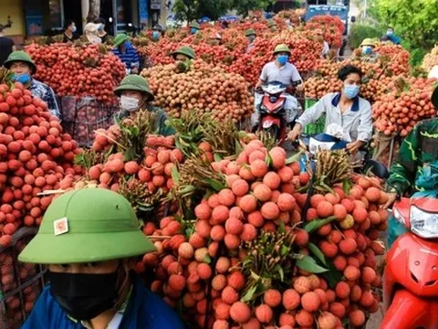 Nhờ trái cây đặc sản, một tỉnh kiếm 6.800 tỷ đồng chỉ trong hai tháng