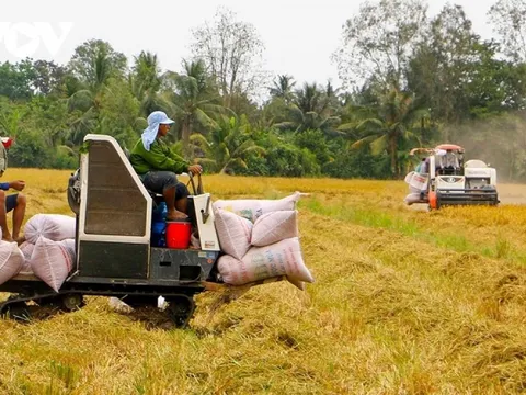 Cơ hội xuất khẩu gạo và những cảnh báo cần thiết cho doanh nghiệp Việt Nam