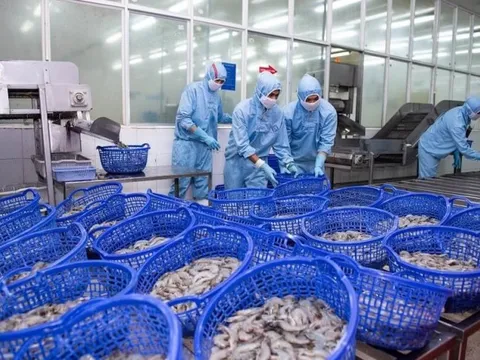 Tiết giảm 7 lần chi phí bán hàng, Sao Ta vẫn kinh doanh đi lùi