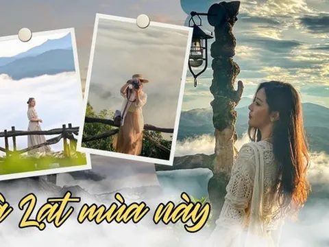 Săn mây mùa mưa Đà Lạt đẹp đến bất ngờ