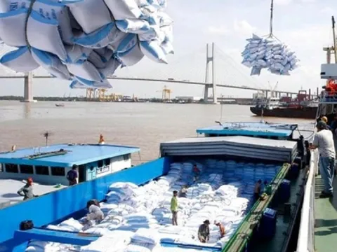Lệnh cấm xuất khẩu của Ấn Độ sẽ mở ra cơ hội cho gạo Việt Nam