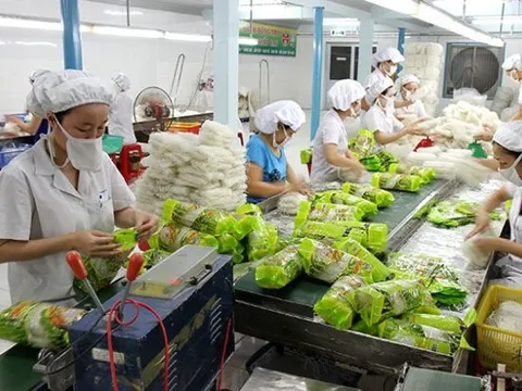 Kinh doanh đi lùi, Thực phẩm Bích Chi vẫn tích cực cải thiện nợ vay