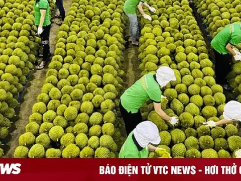 6 mặt hàng nông sản xuất khẩu chủ lực nửa cuối năm 2023, kỳ vọng hút tỷ USD