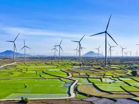 15 dự án điện tái tạo chuyển tiếp đã phát khoảng 154 triệu kWh