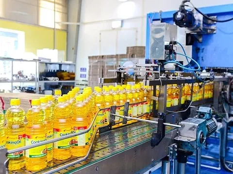 Kinh doanh thua lỗ, Vocarimex đem 1.300 tỷ đồng cho vay tín chấp